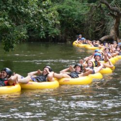 Go geckoing in the Sabie River, Mpumalanga