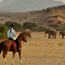 Horse Riding Safaris