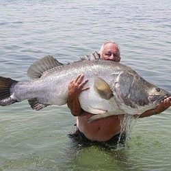 Fishing on Lake Victoria