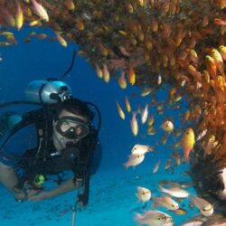 Diving and Snorkeling in Tanzania