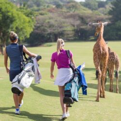 Golfing in Kenya