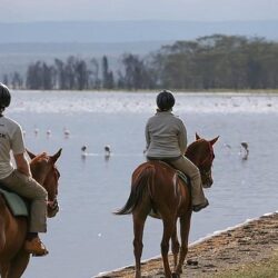 Horse Riding